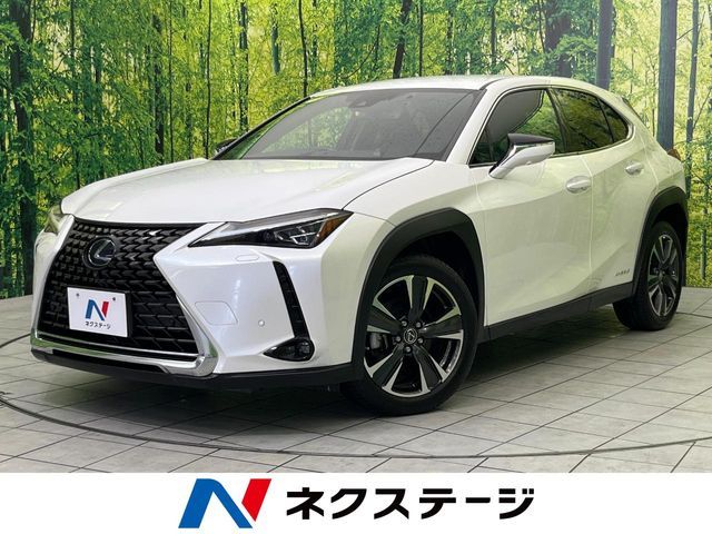 TOYOTA / LEXUS UX250h