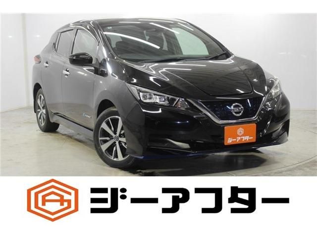 NISSAN / LEAF