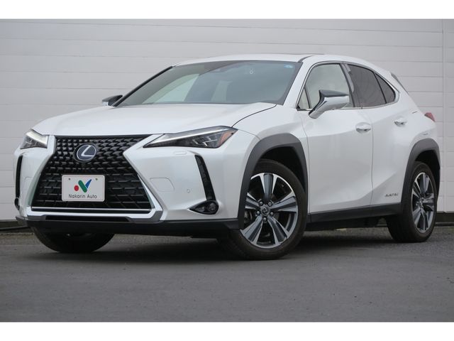 TOYOTA / LEXUS UX300e