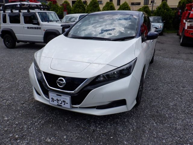 NISSAN / LEAF