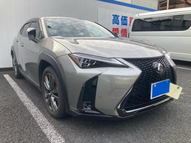 TOYOTA / LEXUS UX300h