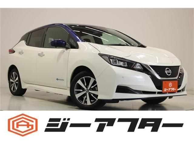 NISSAN / LEAF