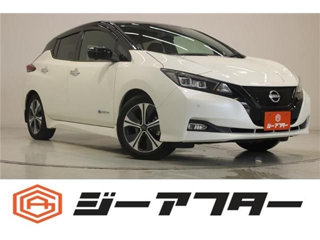 NISSAN / LEAF