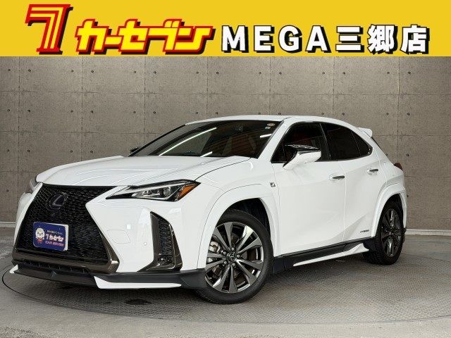 TOYOTA / LEXUS UX250h