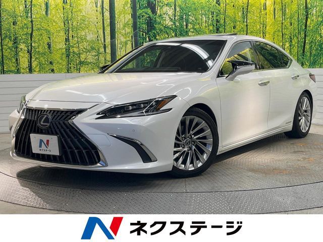 TOYOTA / LEXUS ES300h