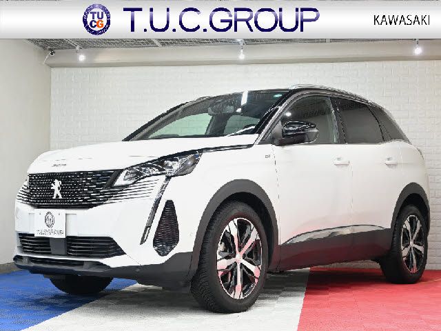 PEUGEOT / PEUGEOT 3008