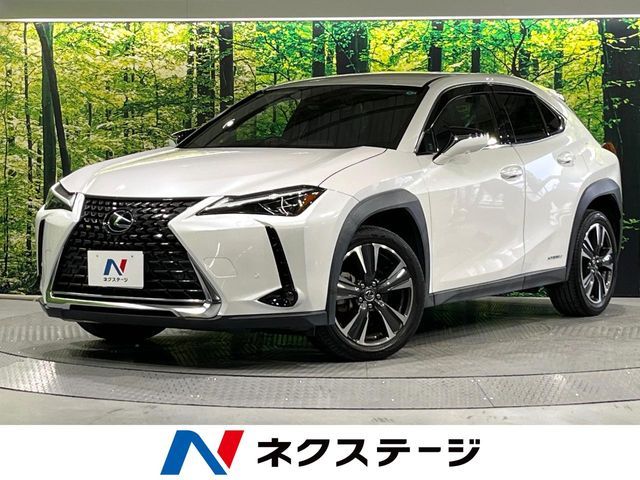 TOYOTA / LEXUS UX250h