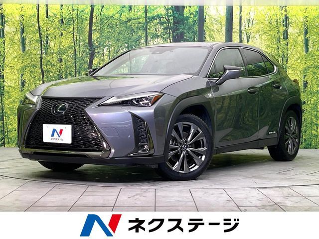TOYOTA / LEXUS UX250h AWD
