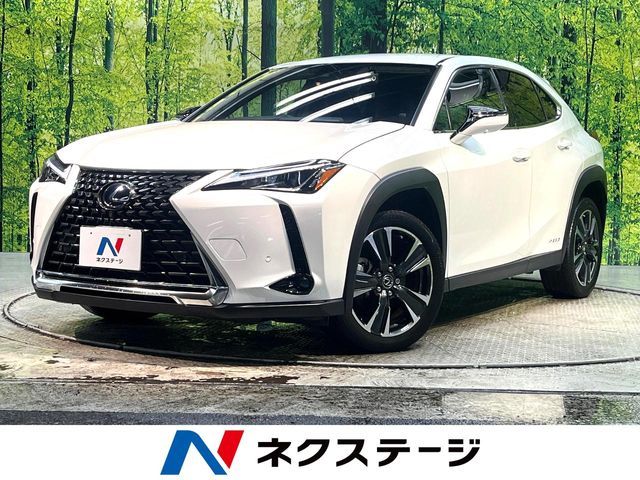 TOYOTA / LEXUS UX250h