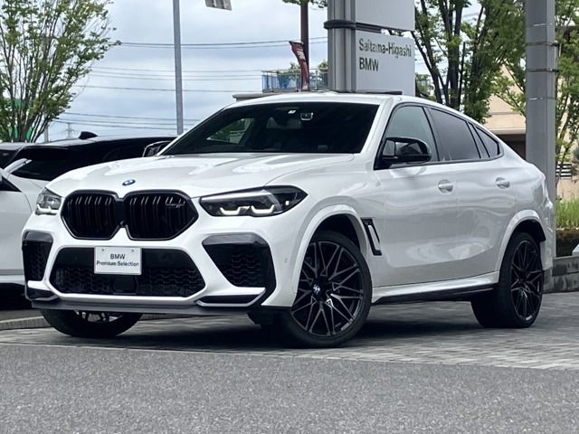 BMW / BMW X6 M