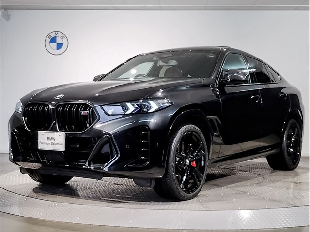 BMW / BMW X6