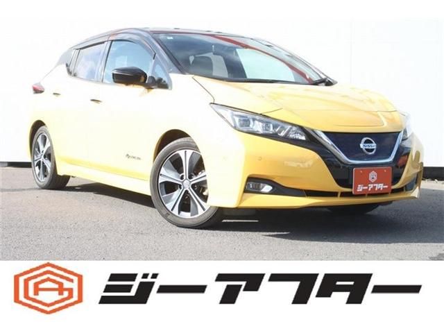 NISSAN / LEAF