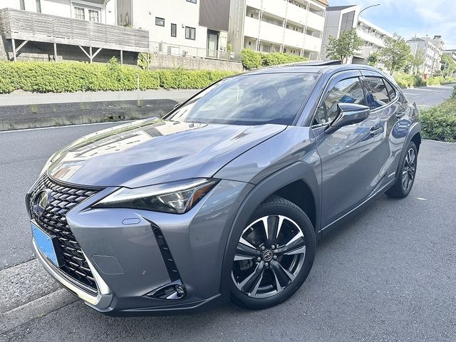 TOYOTA / LEXUS UX250h AWD