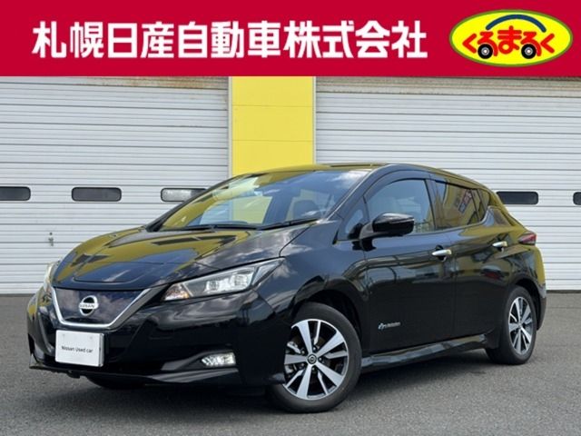 NISSAN / LEAF