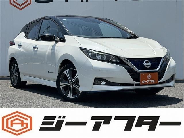 NISSAN / LEAF
