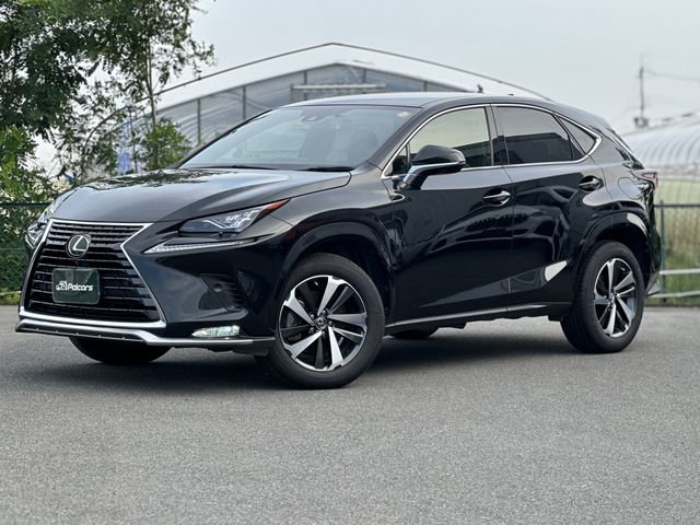 TOYOTA / LEXUS NX300