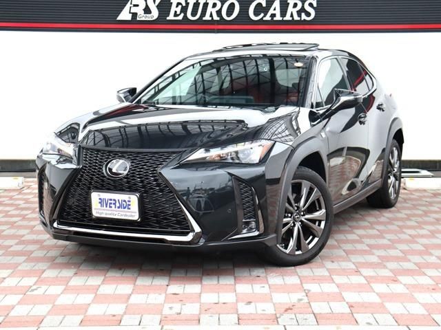 TOYOTA / LEXUS UX250h