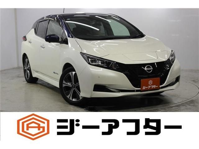 NISSAN / LEAF