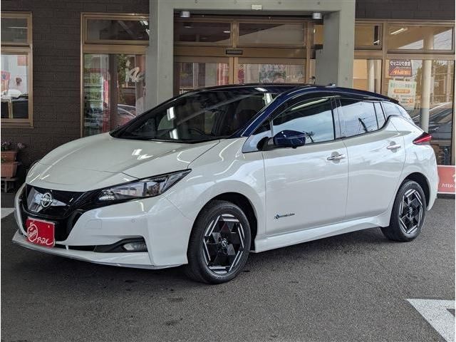 NISSAN / LEAF