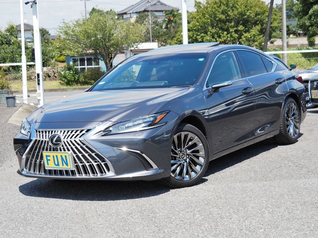 TOYOTA / LEXUS ES300h