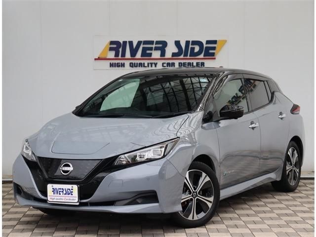 NISSAN / LEAF