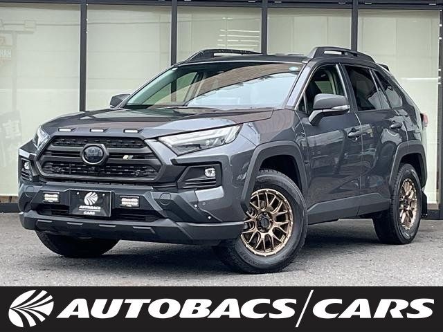 TOYOTA / RAV4 HYBRID 4WD