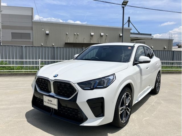 BMW / BMW X2