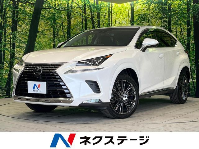 TOYOTA / LEXUS NX300