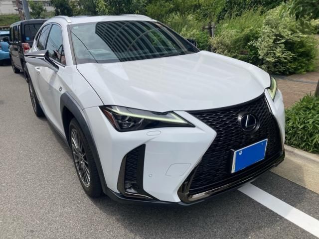TOYOTA / LEXUS UX250h