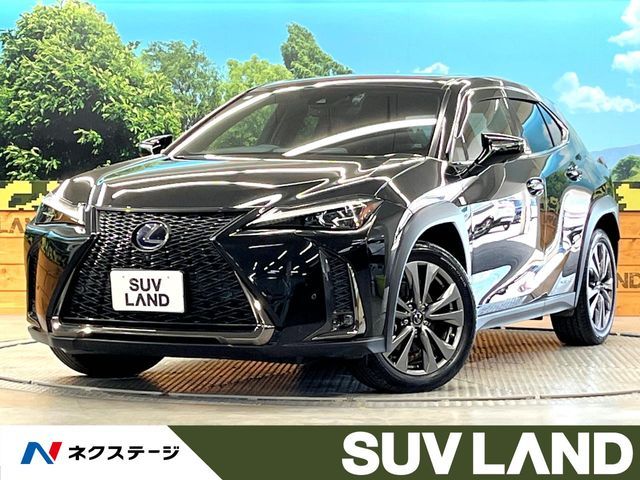 TOYOTA / LEXUS UX250h
