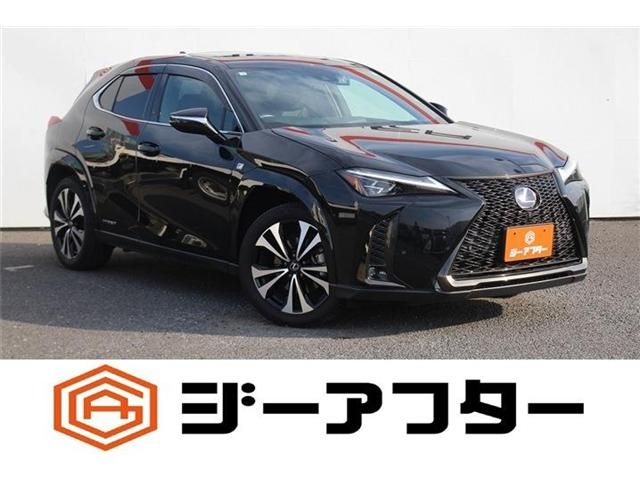TOYOTA / LEXUS UX250h