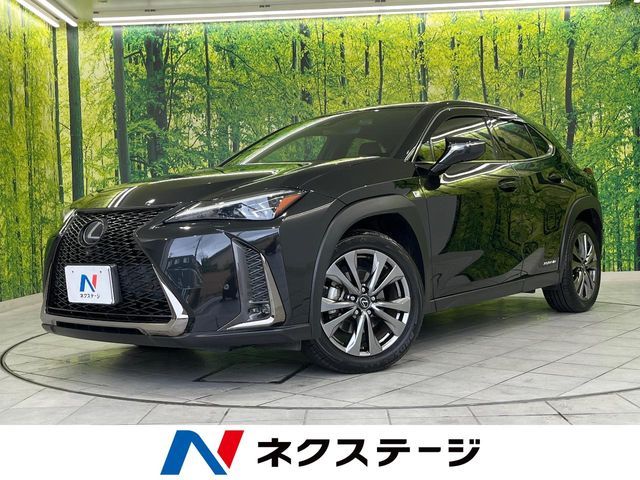 TOYOTA / LEXUS UX250h AWD