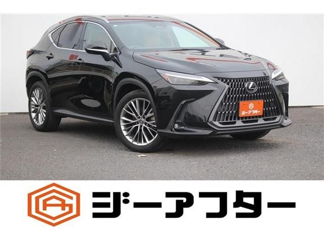 TOYOTA / LEXUS NX450h+ AWD