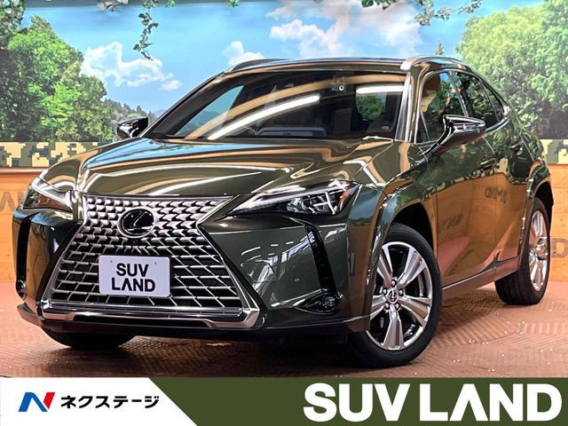 TOYOTA / LEXUS UX250h