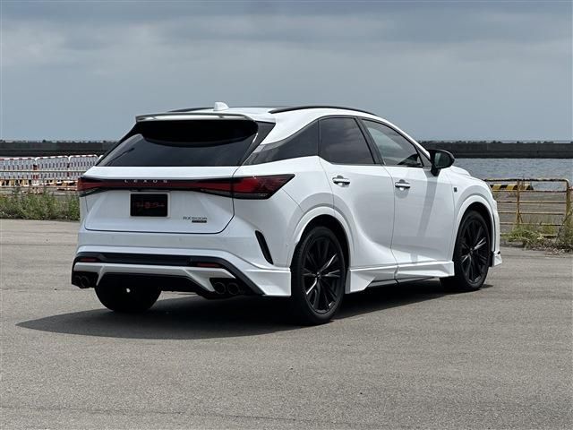 LEXUS RX500h