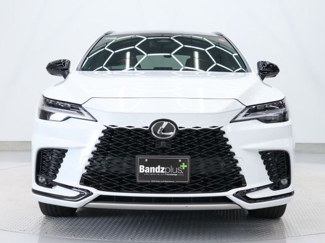 LEXUS RX500h