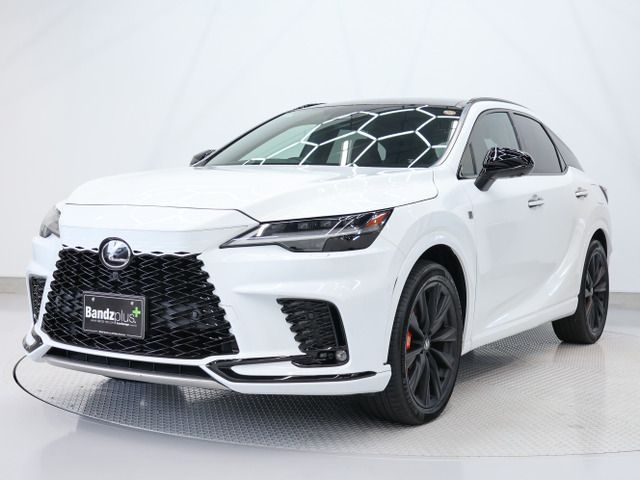 LEXUS RX500h