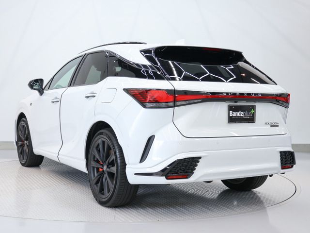LEXUS RX500h