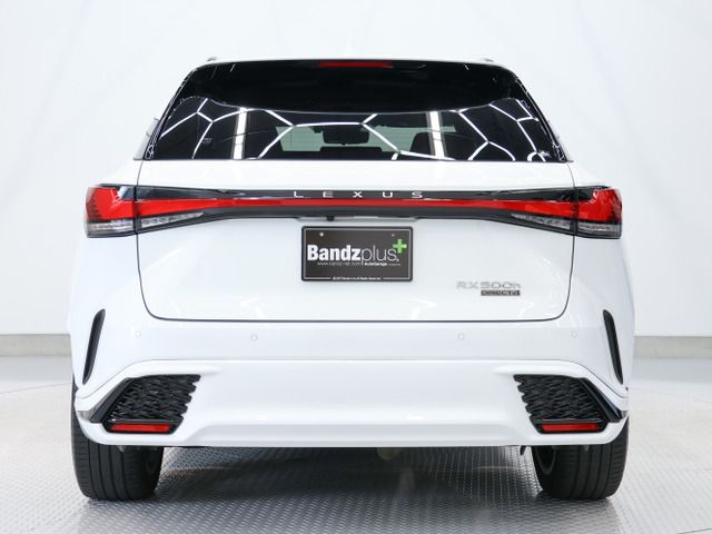 LEXUS RX500h