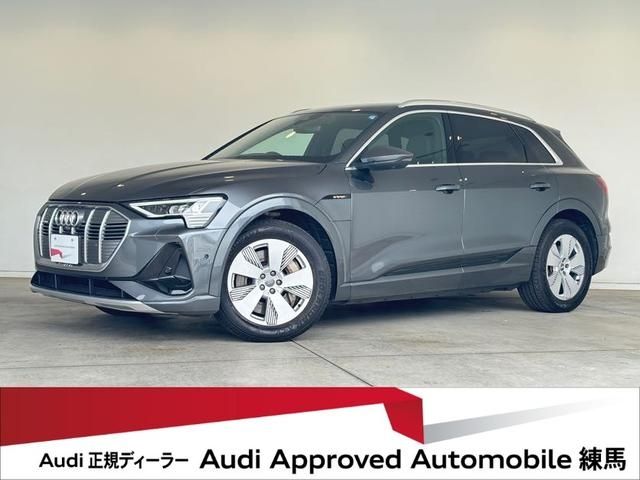 AUDI / AUDI e-tron