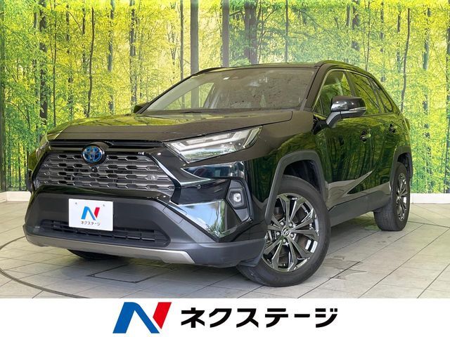 TOYOTA / RAV4 HYBRID 4WD