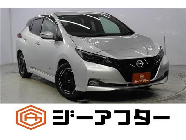 NISSAN / LEAF