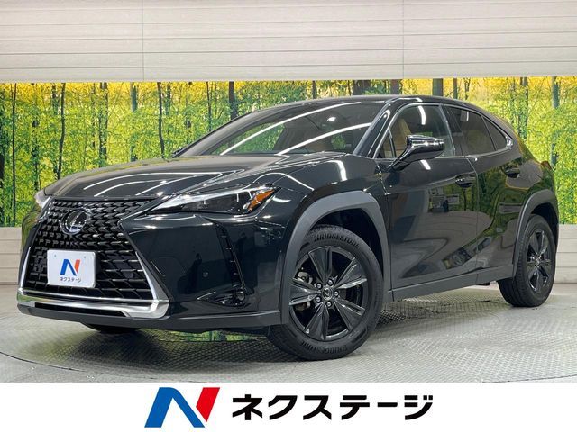 TOYOTA / LEXUS UX250h