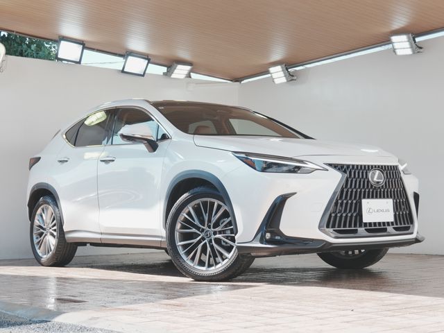 TOYOTA / LEXUS NX250