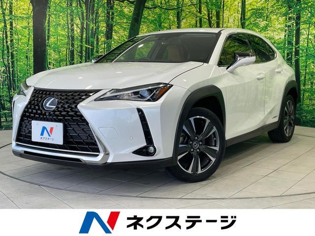 TOYOTA / LEXUS UX250h