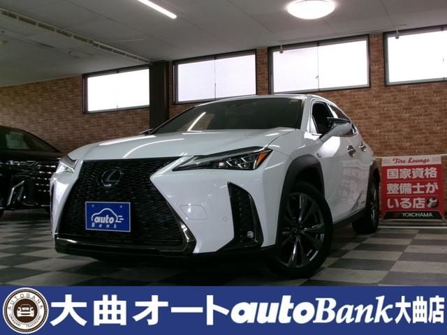 TOYOTA / LEXUS UX250h