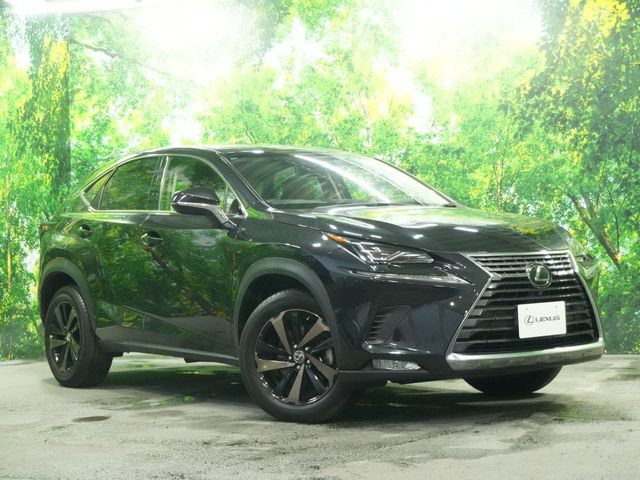 TOYOTA / LEXUS NX300