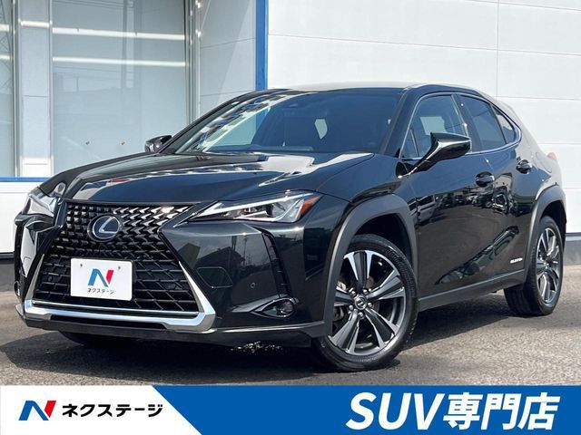 TOYOTA / LEXUS UX250h