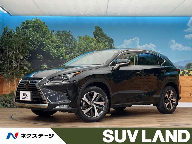 TOYOTA / LEXUS NX300 AWD
