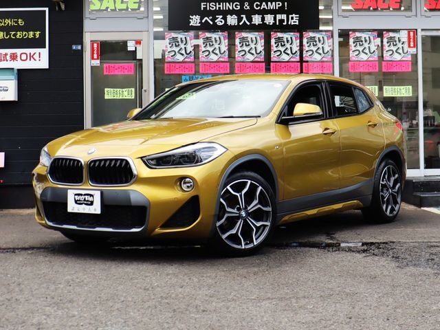 BMW / BMW X2